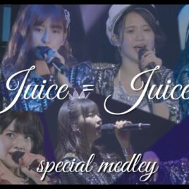 JUICE B/MEDLEY[24x200ml] ds